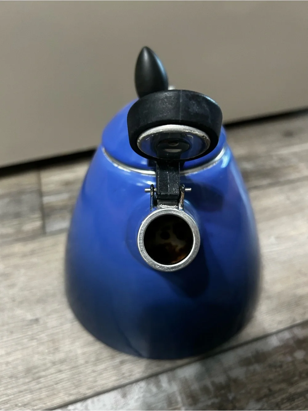 Le Creuset enamel whistling